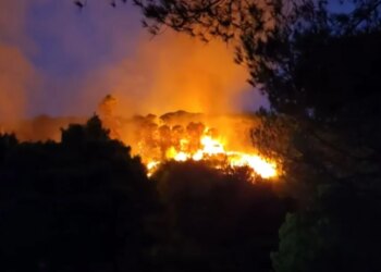 Vijon situata alarmante e zjarreve në Mallakastër, flakët dalin jashtë kontrollit, përfshijnë sipërfaqe më të mëdha pyjore