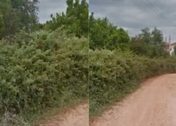 Vrasja e turistit në Ksamil: Detaje mbi thikën që përdori Sokrat Vata dhe ku u gjet mjeti prerës