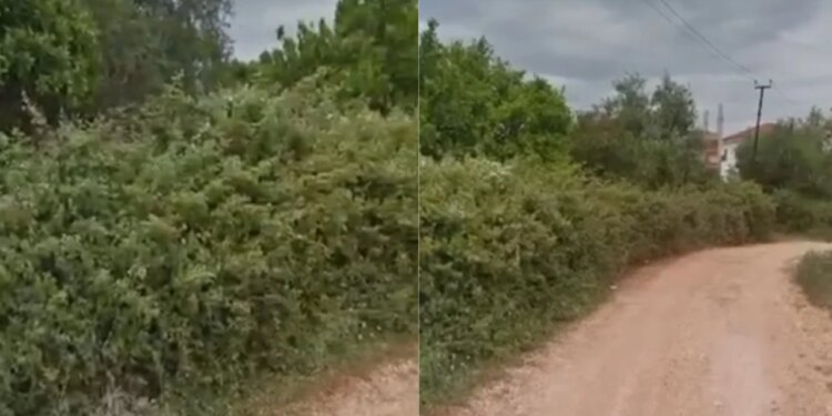 Vrasja e turistit në Ksamil: Detaje mbi thikën që përdori Sokrat Vata dhe ku u gjet mjeti prerës