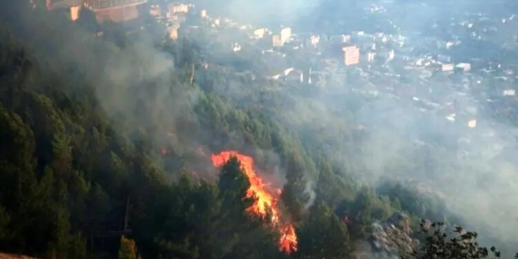 Zbardhet dëshmia dyshuarit Berhami për zjarrin Krujë: Pashë flakët, mora zorrën ujit, nuk ndeza unë, dikush para meje