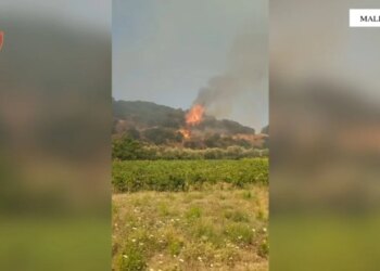 Zjarr masiv në Mallakastër, banesat e fshatit Koilac në rrezik, evakuohen disa familje