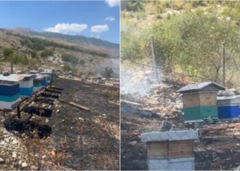 Zjarr mbi repartin ushtarak pranë Gjirokastrës, flakët rrezikojnë parkun me koshere bletësh