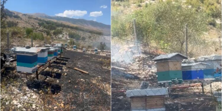 Zjarr mbi repartin ushtarak pranë Gjirokastrës, flakët rrezikojnë parkun me koshere bletësh