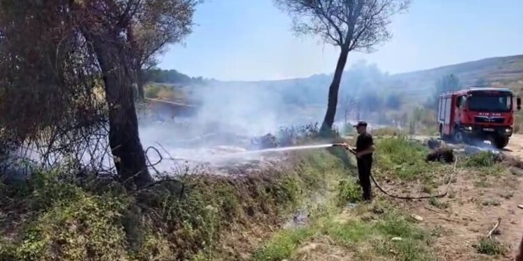 Zjarr në Libofshë përfshin sipërfaqe me shkurre dhe pemë