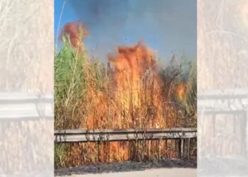 Zjarr në Novoselë të Vlorës, temperaturat e larta dhe era e fortë favorizojnë përhapjen në ullishte