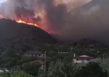 Zjarr në fshatin Dragot të Tepelenës, flakët rrezikojnë zonat e banuara