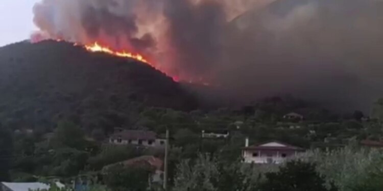 Zjarr në fshatin Dragot të Tepelenës, flakët rrezikojnë zonat e banuara
