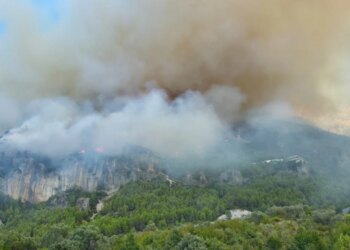 Zjarr në lagjen Abazaj të Krujës, banesat dhe bizneset në rrezik, ndërhyrje nga toka
