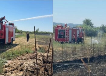 Zjarr në lagjen Skënderbej të Elbasanit, digjen pemë e barishte; rrezikohen banesat pranë