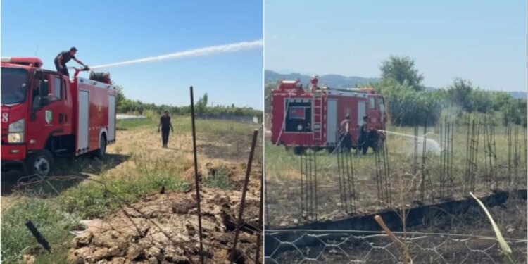 Zjarr në lagjen Skënderbej të Elbasanit, digjen pemë e barishte; rrezikohen banesat pranë