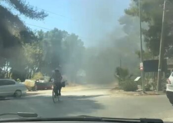 Zjarr në lokal në Zvërnec, rrezik për përhapjen e flakëve drejt pyllit të Sodës