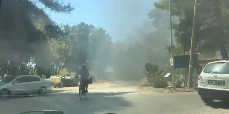 Zjarr në lokal në Zvërnec, rrezik për përhapjen e flakëve drejt pyllit të Sodës
