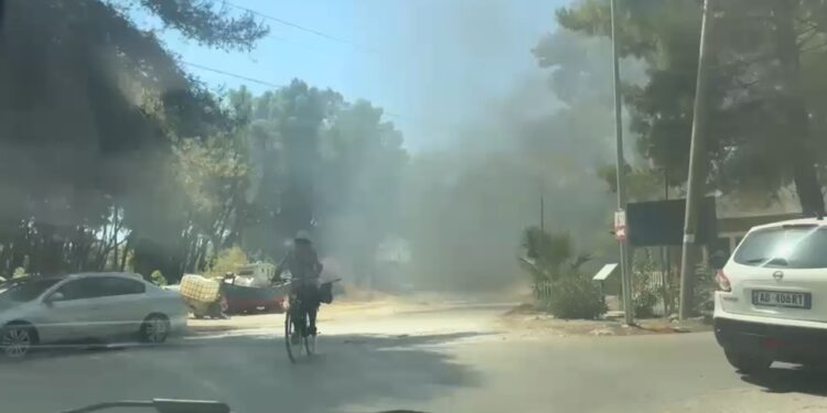 Zjarr në lokal të Triportit në Zvërnec, rrezik për përhapje drejt pyllit të Sodës