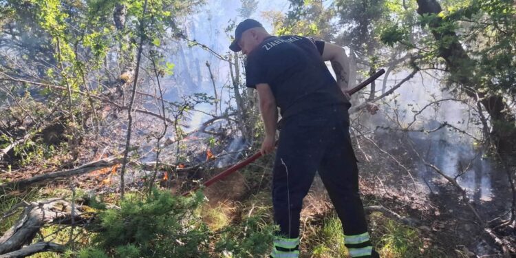 Zjarr në malin e Vinës në Gramsh, zjarrfikësit mbërritën pas 2 orësh për shkak të terrenit të vështirë