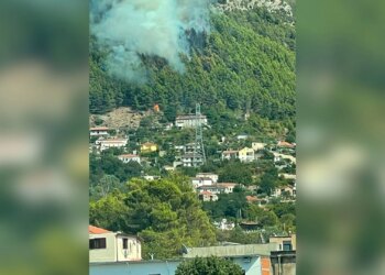 Zjarr në masivin pyjor pranë Milotit; avancimi i shpejtë i flakëve rrezikon banesat