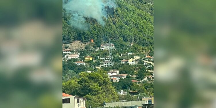 Zjarr në masivin pyjor pranë Milotit; avancimi i shpejtë i flakëve rrezikon banesat