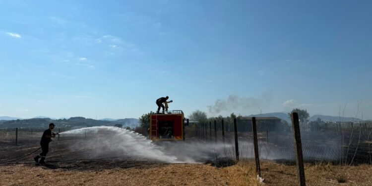 Zjarr në periferi të qytetit të Cërrikut: Flakët dogjën një parcelë me ullinj dhe rrezikuan një banesë