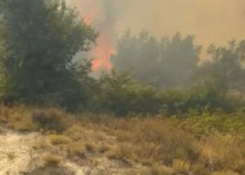 Zjarr përfshin Drenovën e Mallakastrës, flakët përhapen në ullishte