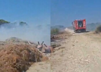 Zjarr pranë zonës pyjore në Darëzezë të Fierit, ndërhyrja e zjarrfikësve parandalon përhapjen