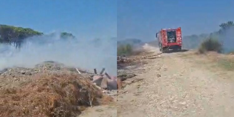 Zjarr pranë zonës pyjore në Darëzezë të Fierit, ndërhyrja e zjarrfikësve parandalon përhapjen