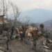 Zjarret në Algjeri i morën jetën 12 personave, presidenti kërkon dënim me vdekje për piromanët