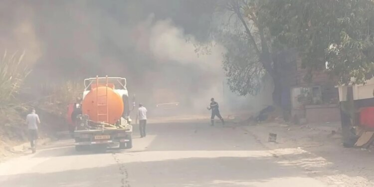 Zjarret në Algjeri shkaktojnë 12 vdekje dhe dhjetëra të plagosur, mes viktimave edhe një 8-vjeçar