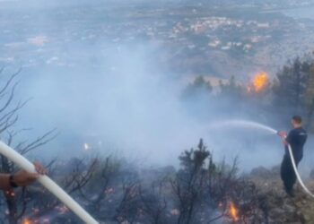 Zjarret në Shkodër: disa vatra nën kontroll, vijon operacioni për shuarjen në Vaun e Dejës