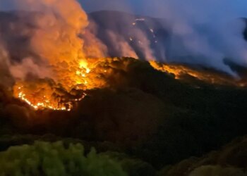 Zjarret nga veriu në jug: Ministria e Mbrojtjes, 531 forca operacionale në terren, helikopterë dhe dy Air Tractor