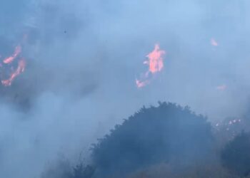 Zjarrfikësit: Flakët ndizen nga dora e njeriut; shumica e vatrave shkaktohen nga djegia e mbetjeve bujqësore
