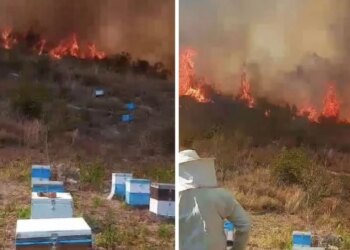 Zjarri del jashtë kontrollit në Finiq, flakët avancojnë drejt fshatrave; forca zjarrfikëse dhe ndërhyrje ajrore
