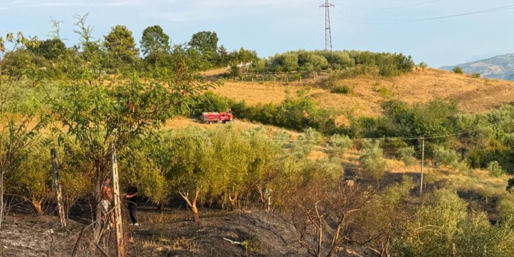 Zjarri i madh në Cërrik: Flakët përfshijnë dy hektarë, rrezikoheshin banesat dhe depoja e ujit të qytetit