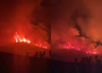 Zjarri jashtë kontrollit në Gojan të Pukës, flakët afrohen ngjitur me fshatin; banesat në rrezik serioz