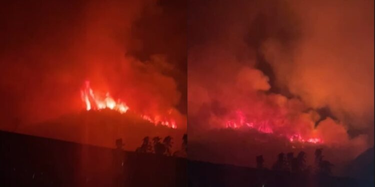 Zjarri jashtë kontrollit në Gojan të Pukës, flakët afrohen ngjitur me fshatin; banesat në rrezik serioz