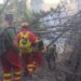 Zjarri në Drenije të Patosit përhapet gjatë natës, 68 forca vijojnë të luftojnë flakët