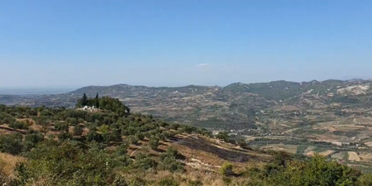 Zjarri në Drenovë të Mallakastrës vihet nën kontroll, 6 mjete zjarrfikëse, mbi 50 efektivë në luftë me flakët