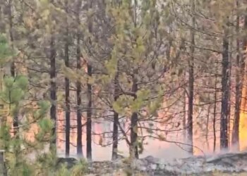 Zjarri në Gjegjan-Gojan, Pukë: vijon ndërhyrja toka e ajër, 40 efektivë të Forcave të Armatosura dhe 2 helikopterë