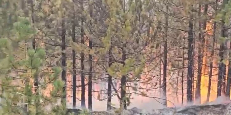 Zjarri në Gjegjan-Gojan, Pukë: vijon ndërhyrja toka e ajër, 40 efektivë të Forcave të Armatosura dhe 2 helikopterë