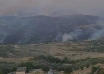 Zjarri në Koliaç të Mallakastrës, nis ndërhyrja ajrore për shuarjen e flakëve