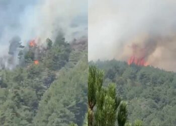 Zjarri në Pukë përfshin sipërfaqe të mëdha dhe i afrohet Gojanit; banori: Po rrezikohet fshati, ndërhyet nga ajri