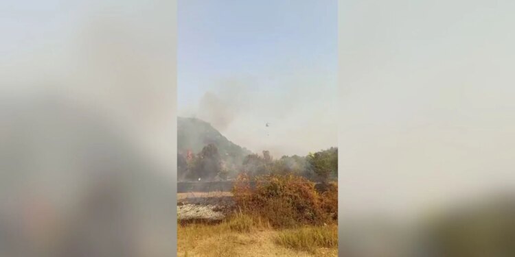 Zjarri në Vranisht të Vlorës përfshin një banesë dhe digjen disa hektarë sipërfaqe pyjore