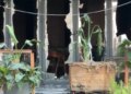 Zjarri në hotelin në Vlorë shkakton 6 të plagosur; Policia: shkëndija elektrike, dy me djegie të konsiderueshme