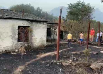Zjarri përfshin banesën, djeg kosheret e bletëve në Vranisht dhe shkrumbon disa hektarë ullinj e pemë