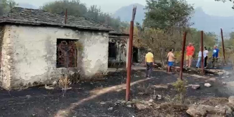 Zjarri përfshin banesën, djeg kosheret e bletëve në Vranisht dhe shkrumbon disa hektarë ullinj e pemë