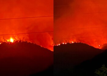 Zjarri përfshin dhjetëra hektarë pyjesh në Pukë; flakët kërcënojnë banesat e Gojanit të Vogël
