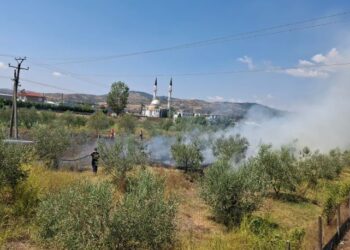 Zjarri përfshin parcelën me ullinj në Cërrik; flakët rrezikojnë banesat, në terren forca të shumta zjarrfikëse
