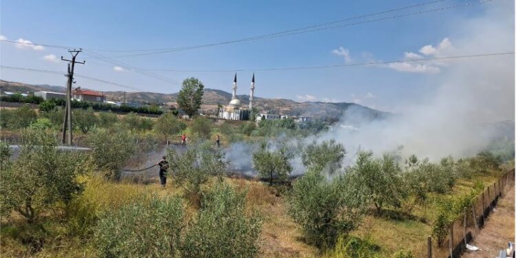 Zjarri përfshin parcelën me ullinj në Cërrik; flakët rrezikojnë banesat, në terren forca të shumta zjarrfikëse