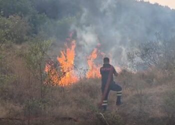 Zjarri përhapet shpejt në Zall-Strikçan të Bulqizës, rrezikohet një banesë, ndërhyjnë zjarrfikësit