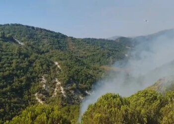Zjarri vazhdon pas 48 orësh në Mallakastër, era dhe temperaturat e larta përkeqësojnë situatën