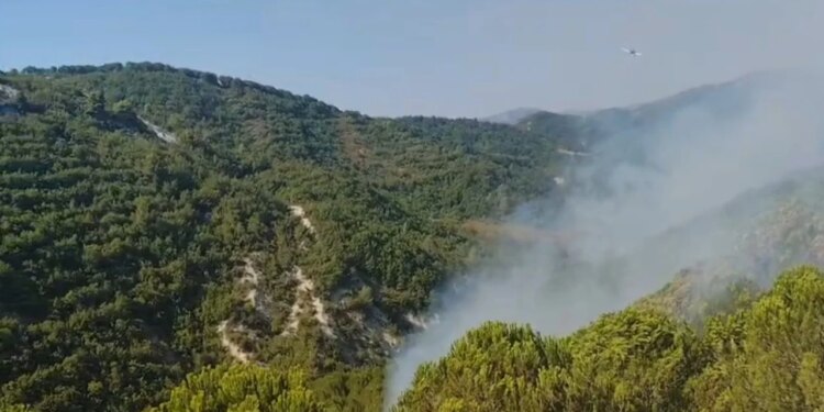 Zjarri vazhdon pas 48 orësh në Mallakastër, era dhe temperaturat e larta përkeqësojnë situatën