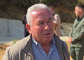 Administratori i firmës së rehabilitimit të digës procedohet për ngordhjen e peshqve në liqenin e Kasharajt në Lushnjë